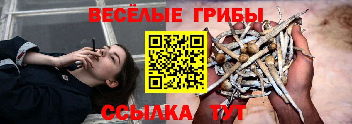 Галлюциногенные грибы Magic Shrooms  Вход с VPN  Ульяновск 