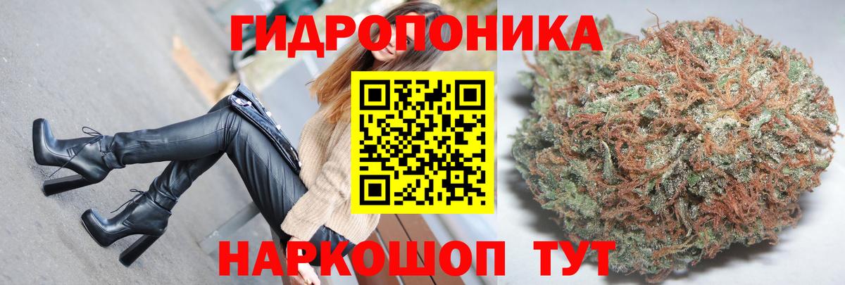 Бошки Шишки MAZAR Ульяновск